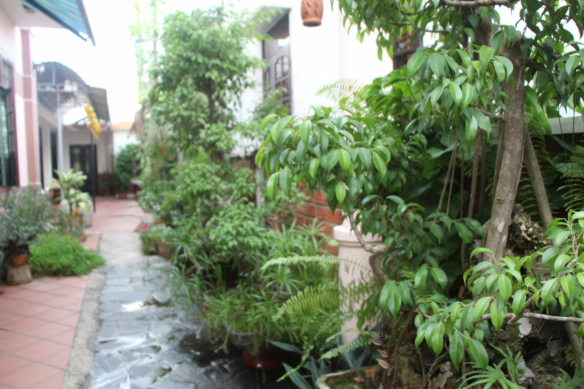 Red Ceramics Homestay Хоян Екстер'єр фото